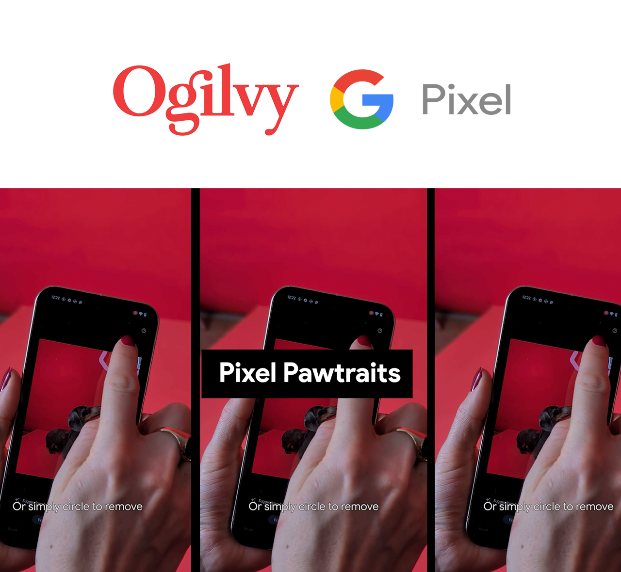 Google Pixel – Pawtraits